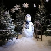 Snow events - Indoor
