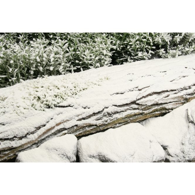 Powderfrost