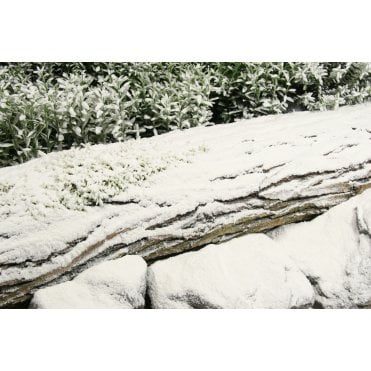 Powderfrost